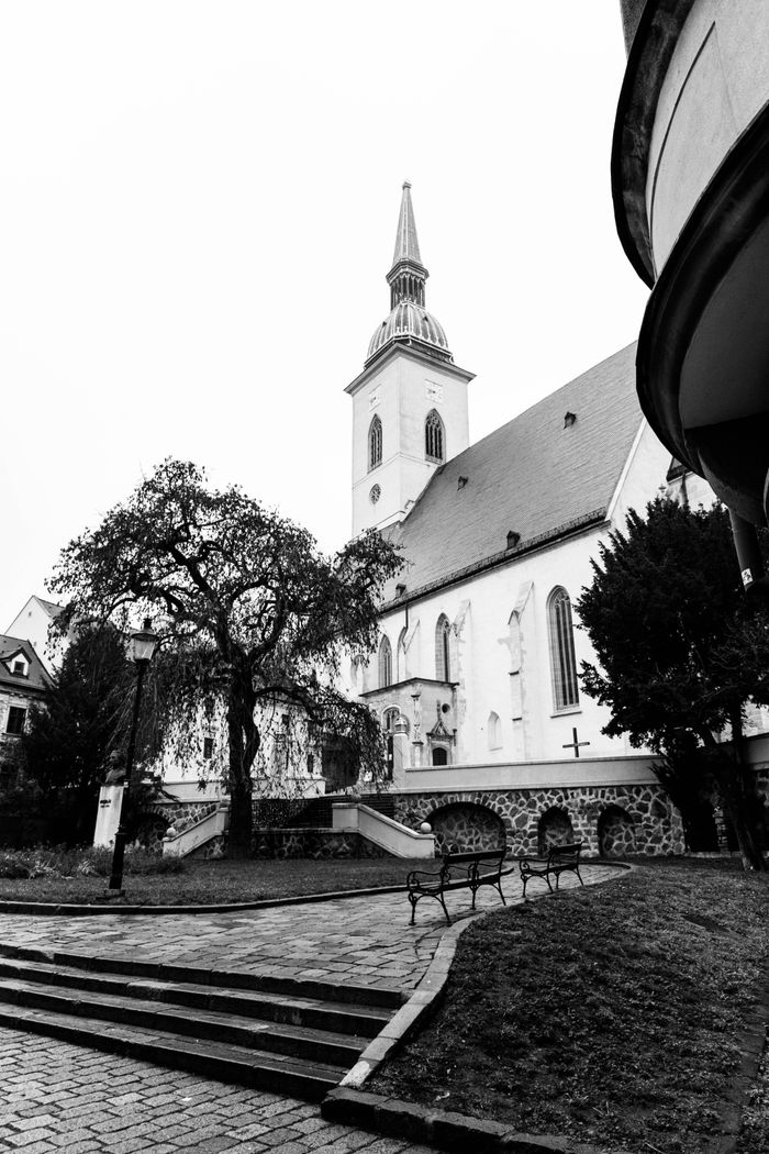 Black and white view of a gothic church with steeple and surrounding park.